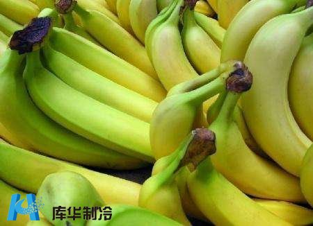 杭州地區(qū)安裝10噸香蕉保鮮冷庫(kù)工程推薦