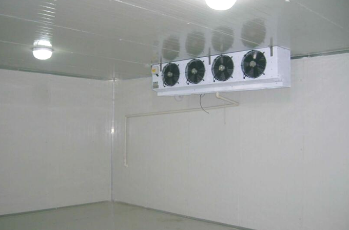 建造一個(gè)果蔬保鮮冷庫需要多少錢？