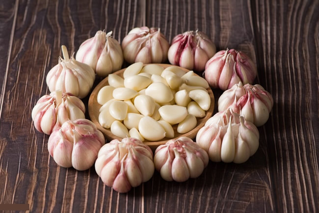 大蒜冷庫(kù)多少錢一平方？大蒜保鮮冷庫(kù)建造溫度及造價(jià)