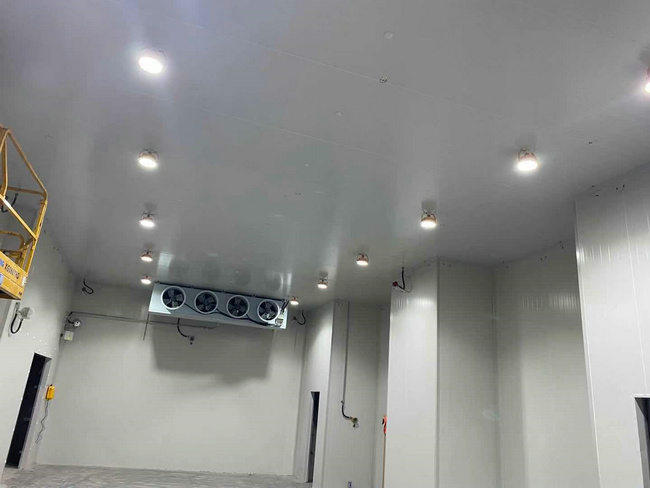 建個存放10噸貨物的冷庫大概需要多少錢？